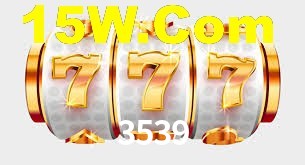 3539.com